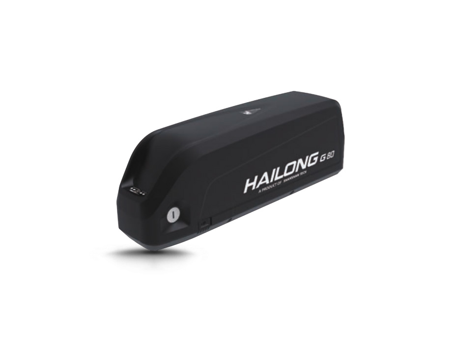 hailong battery