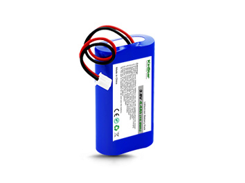18650 1S2P 3.7V 4400mAh Battery Pack with PCB & JST Connector